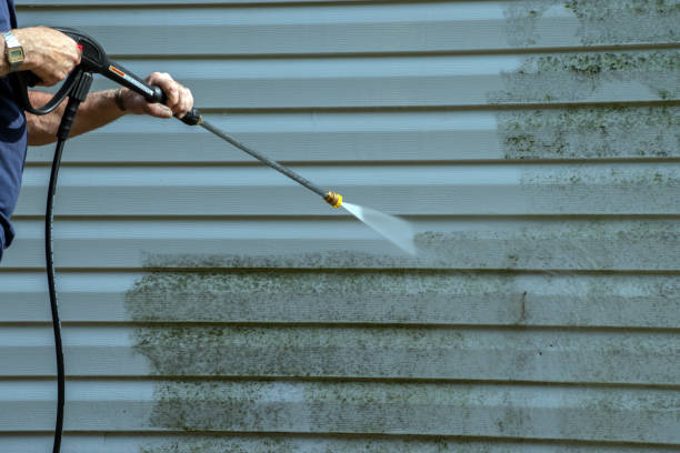 Best Pressure Washing Company Near Me  in Brazoria, TX