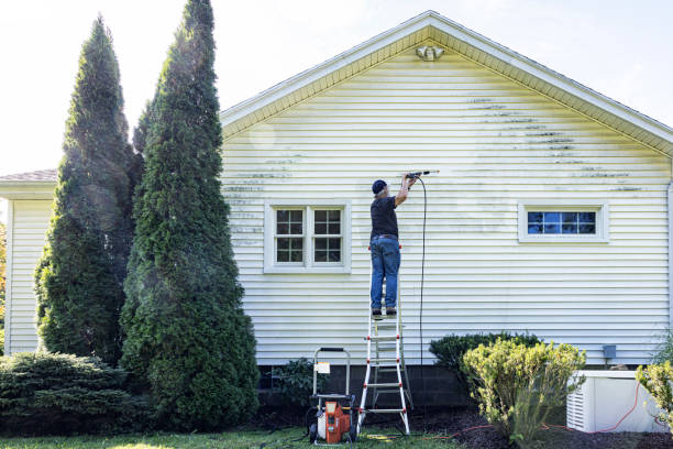 Best Garage Pressure Washing  in Brazoria, TX