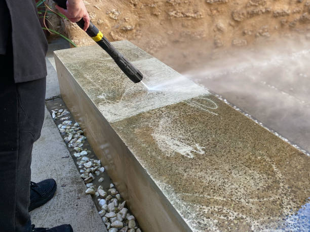 Best Pressure Washing Estimates  in Brazoria, TX