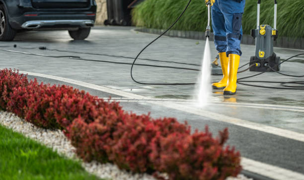 Best Roof Power Washing Services  in Brazoria, TX