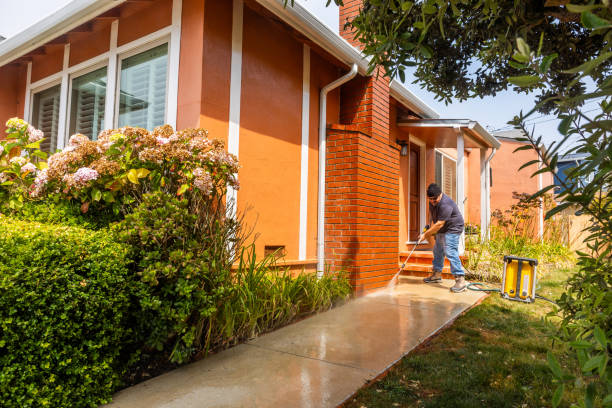 Best Deck Cleaning Services  in Brazoria, TX