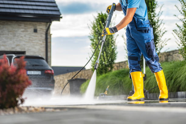 Best Sidewalk Pressure Washing  in Brazoria, TX