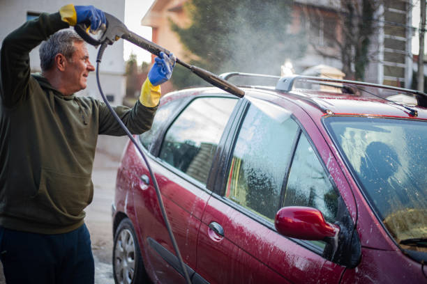 Best Pressure Washing Near Me  in Brazoria, TX