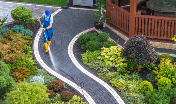 Best Roof Power Washing Services  in Brazoria, TX