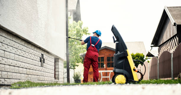 Best Roof Pressure Washing  in Brazoria, TX